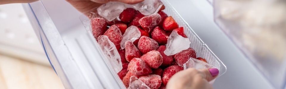 Bästa Frysbox