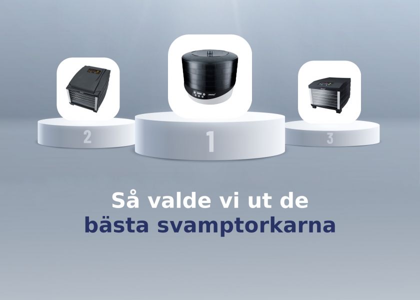 svamptork test