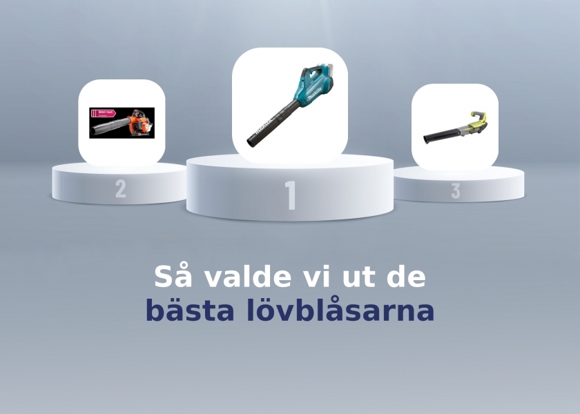 lövblås test
